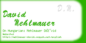 david mehlmauer business card